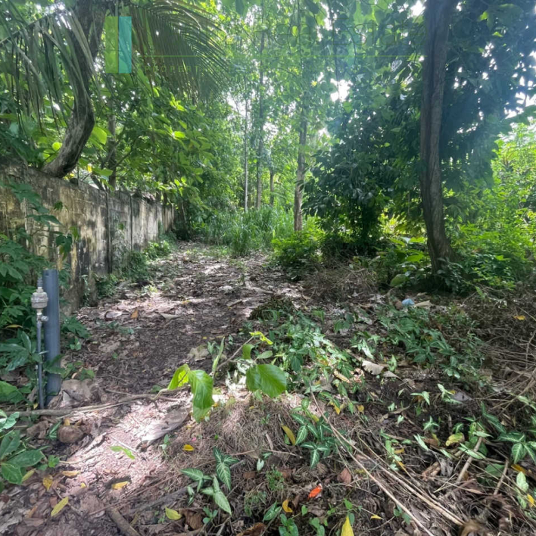 Fifty perch plot with access to a swimming beach
