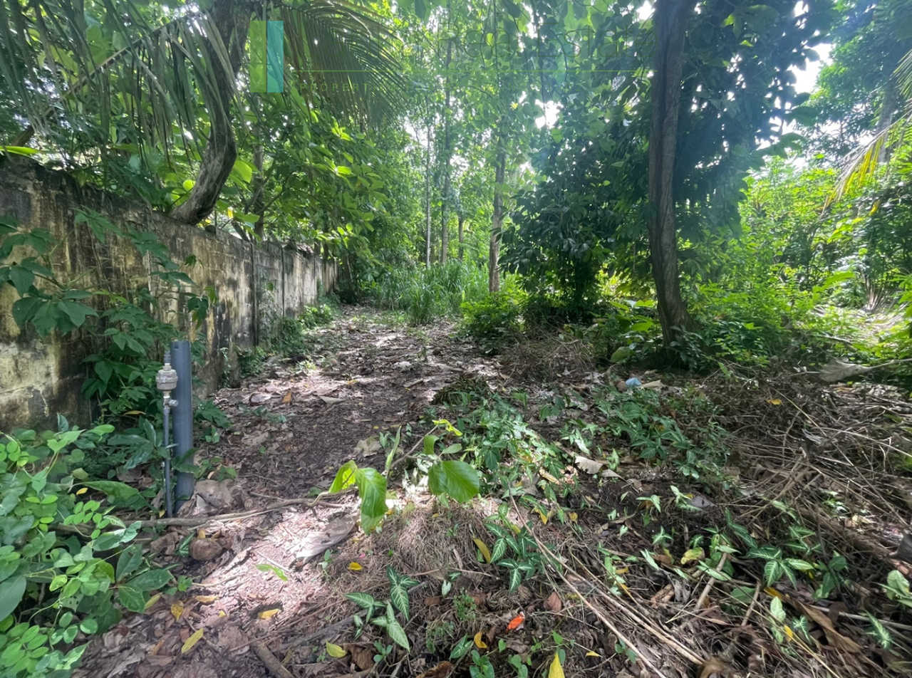 Fifty perch plot with access to a swimming beach