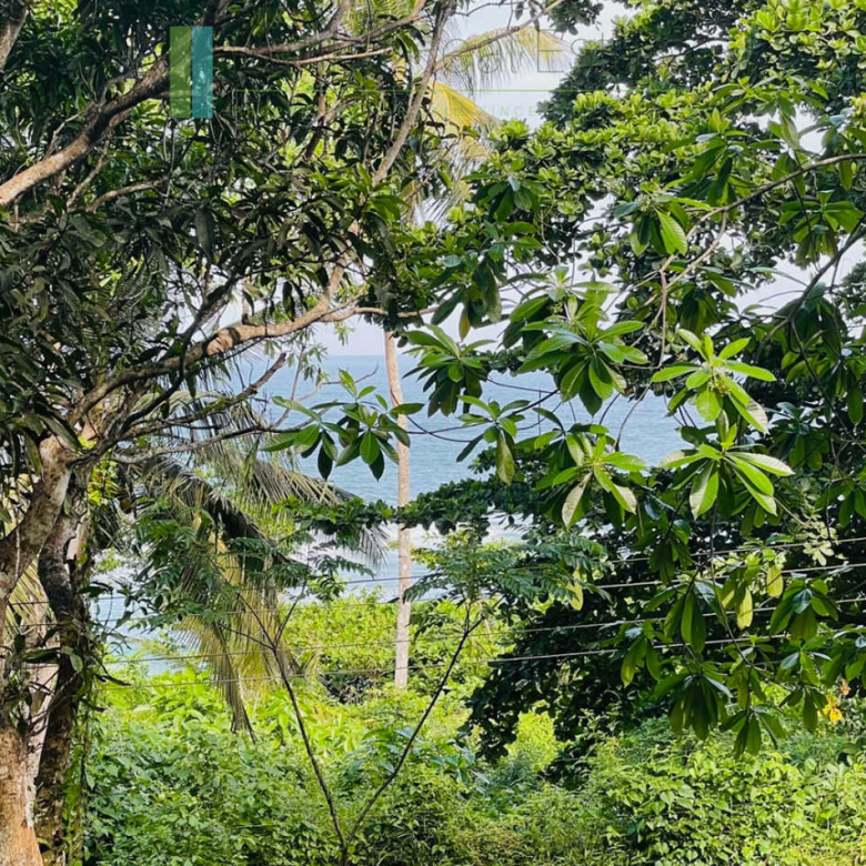 Elevated plot with ocean views at Talalla