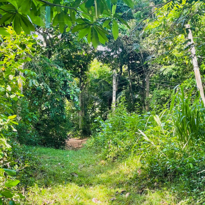 Elevated plot with ocean views at Talalla