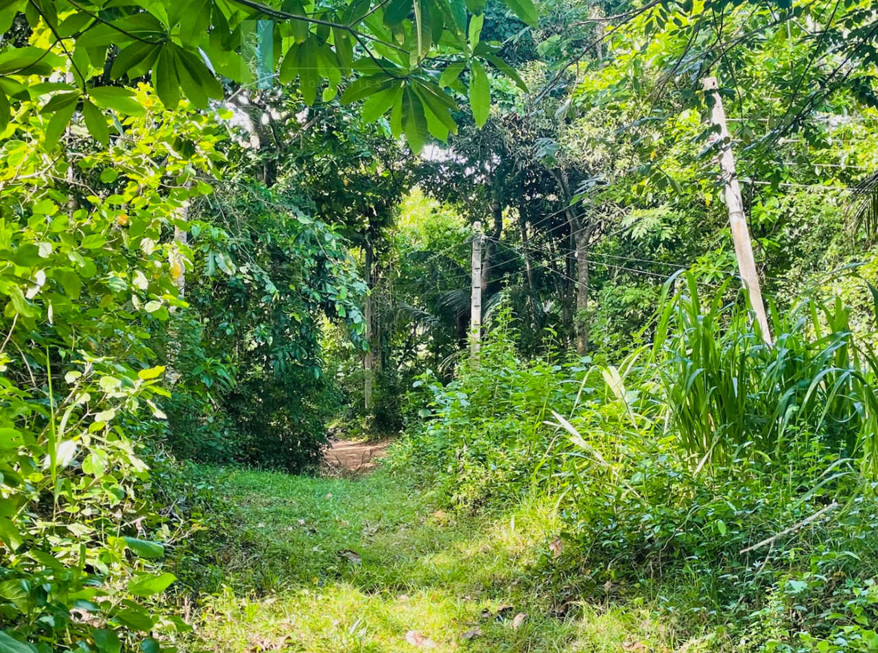 Elevated plot with ocean views at Talalla