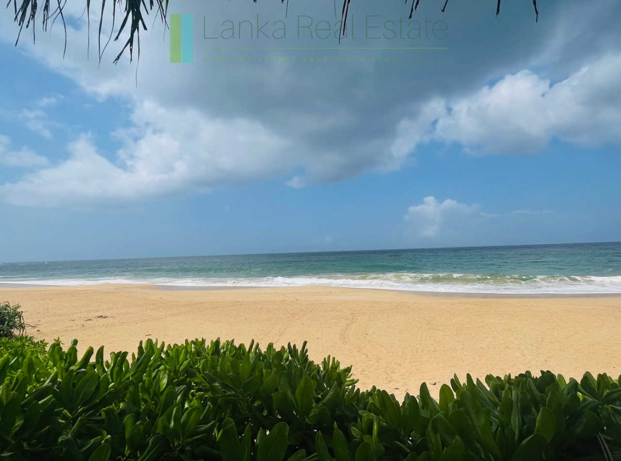 Elevated-oceanfront-land-on-pristine-beach-Rekewa-Sri-Lanka-1_web Elevated oceanfront land on pristine beach
