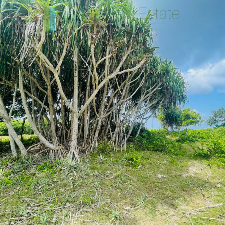 Elevated oceanfront land on pristine beach