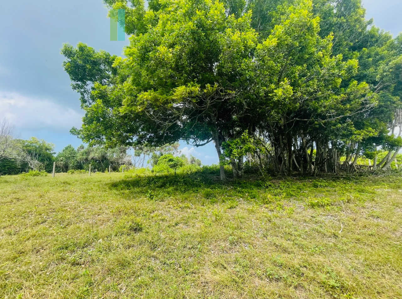 Elevated oceanfront land on pristine beach