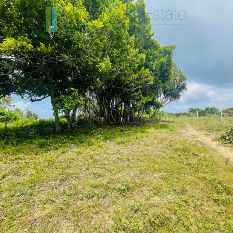 Elevated oceanfront land on pristine beach
