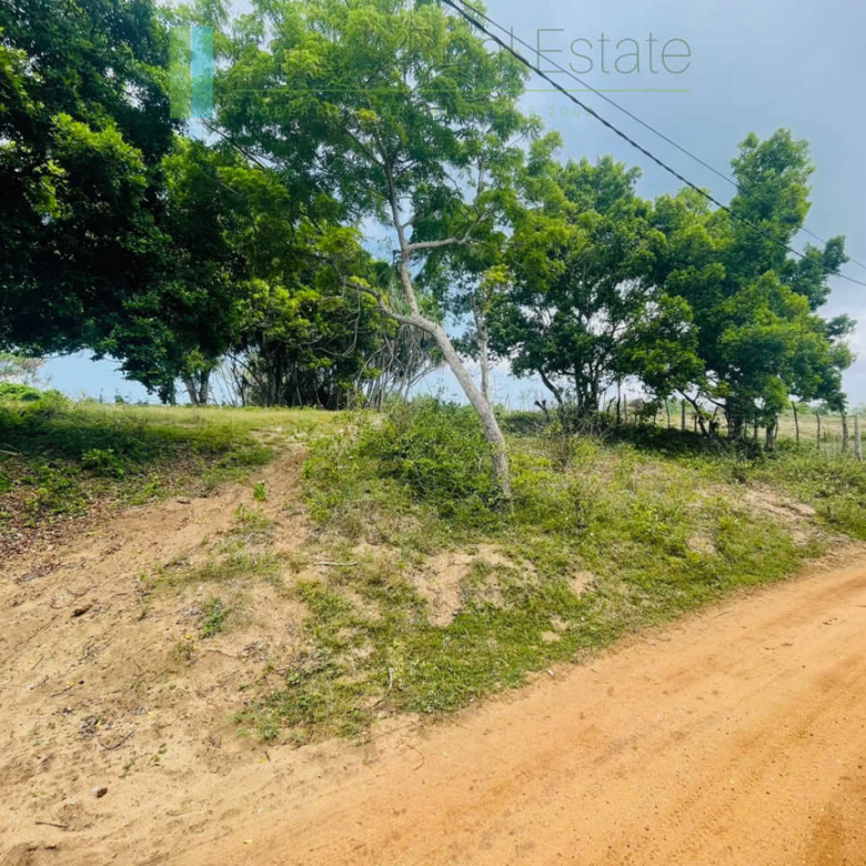 Elevated oceanfront land on pristine beach