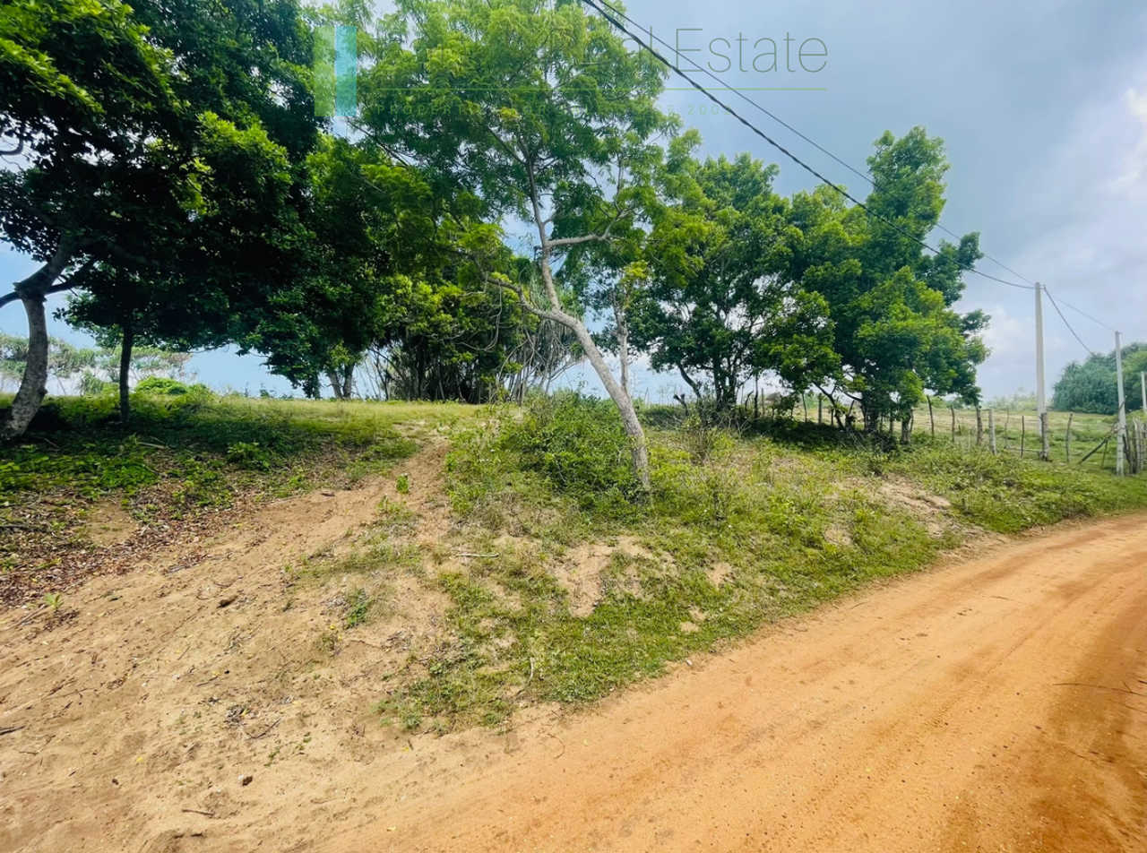 Elevated oceanfront land on pristine beach