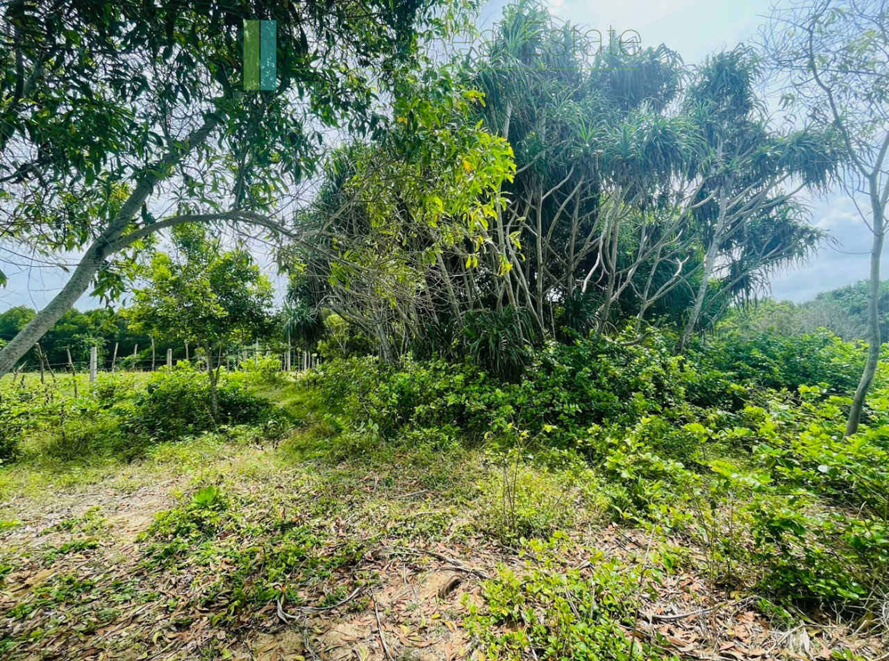 Elevated oceanfront land on pristine beach