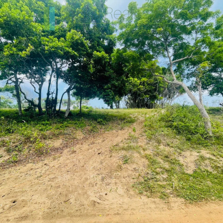 Elevated oceanfront land on pristine beach