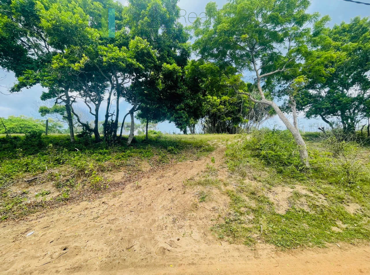 Elevated oceanfront land on pristine beach