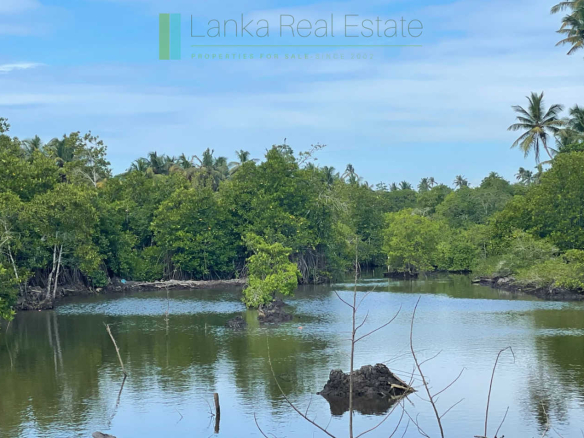 Lagoon-front house near the beach in Ahangama