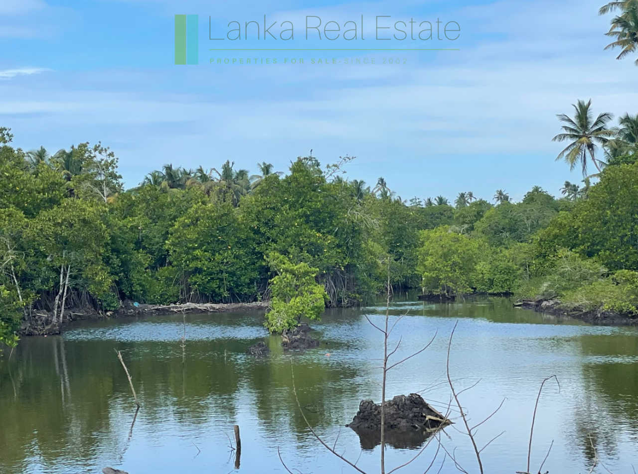 Lagoon-front house near the beach in Ahangama