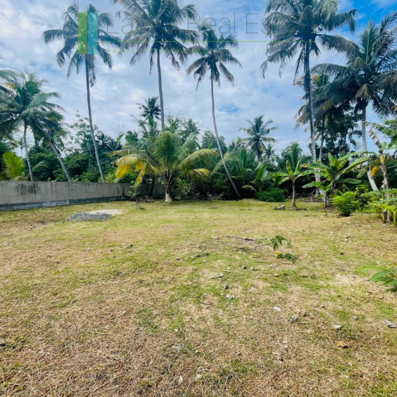 Lagoon-front house near the beach in Ahangama