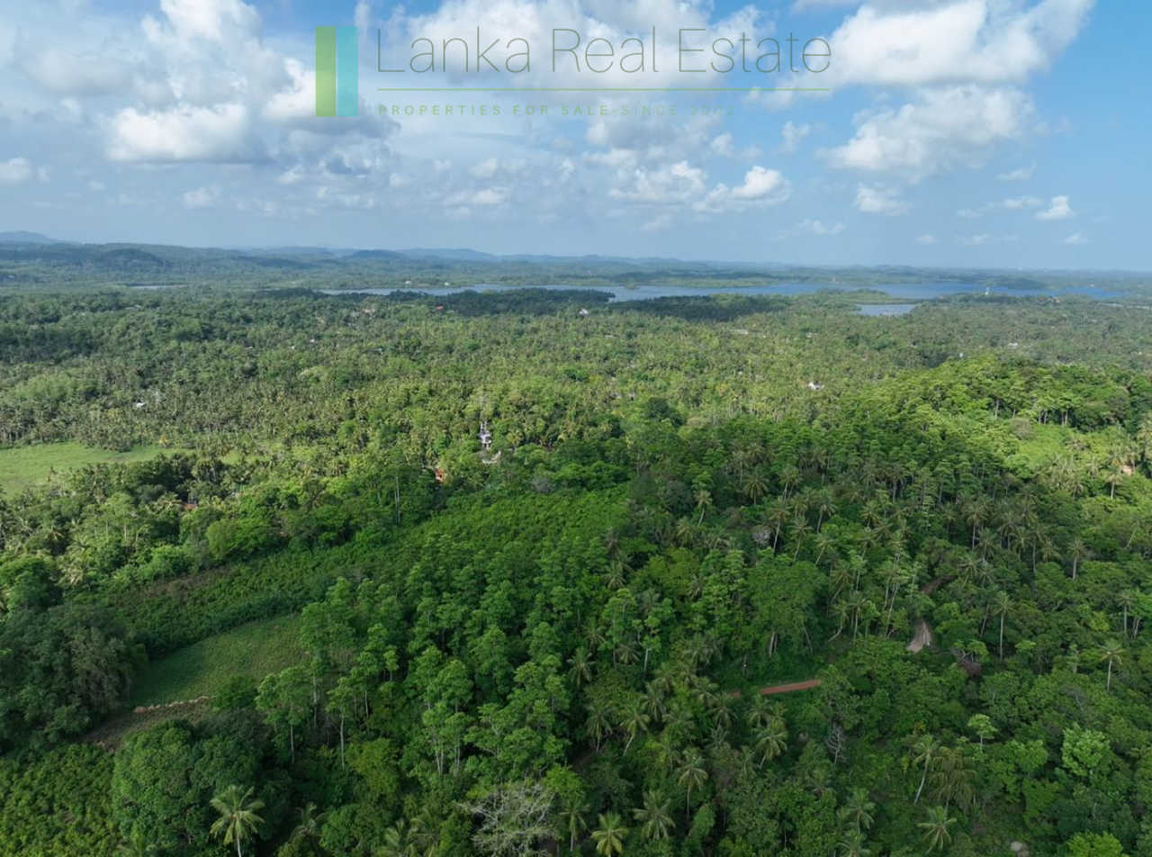 Ten acres with ocean views near Talpe beach