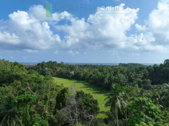 Hill plot close to Talpe and Galle with ocean and paddy field views