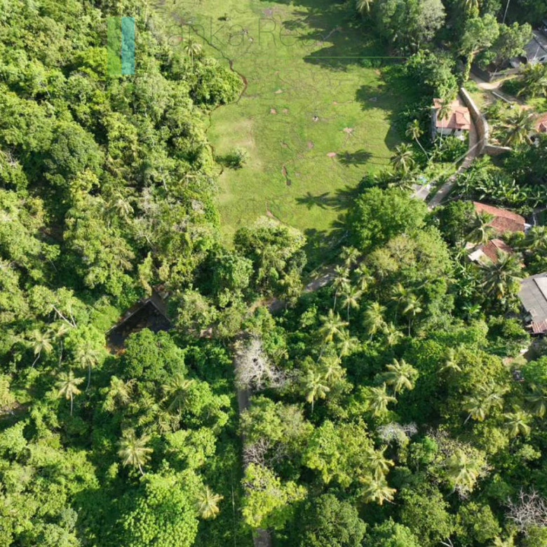 Hill plot close to Talpe and Galle with ocean and paddy field views