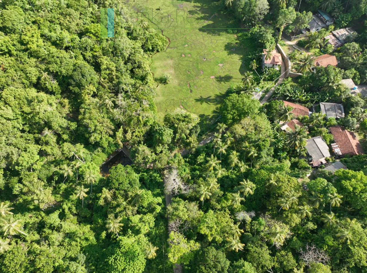 Hill plot close to Talpe and Galle with ocean and paddy field views
