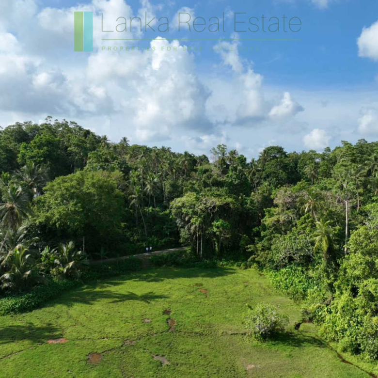 Hill plot close to Talpe and Galle with ocean and paddy field views