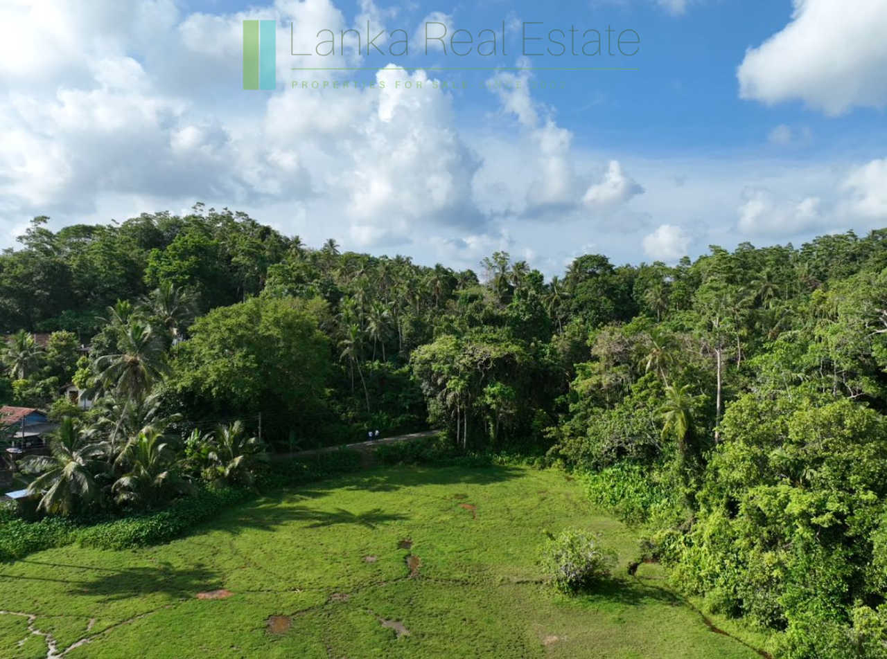 Hill plot close to Talpe and Galle with ocean and paddy field views