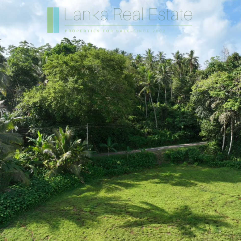 Hill plot close to Talpe and Galle with ocean and paddy field views