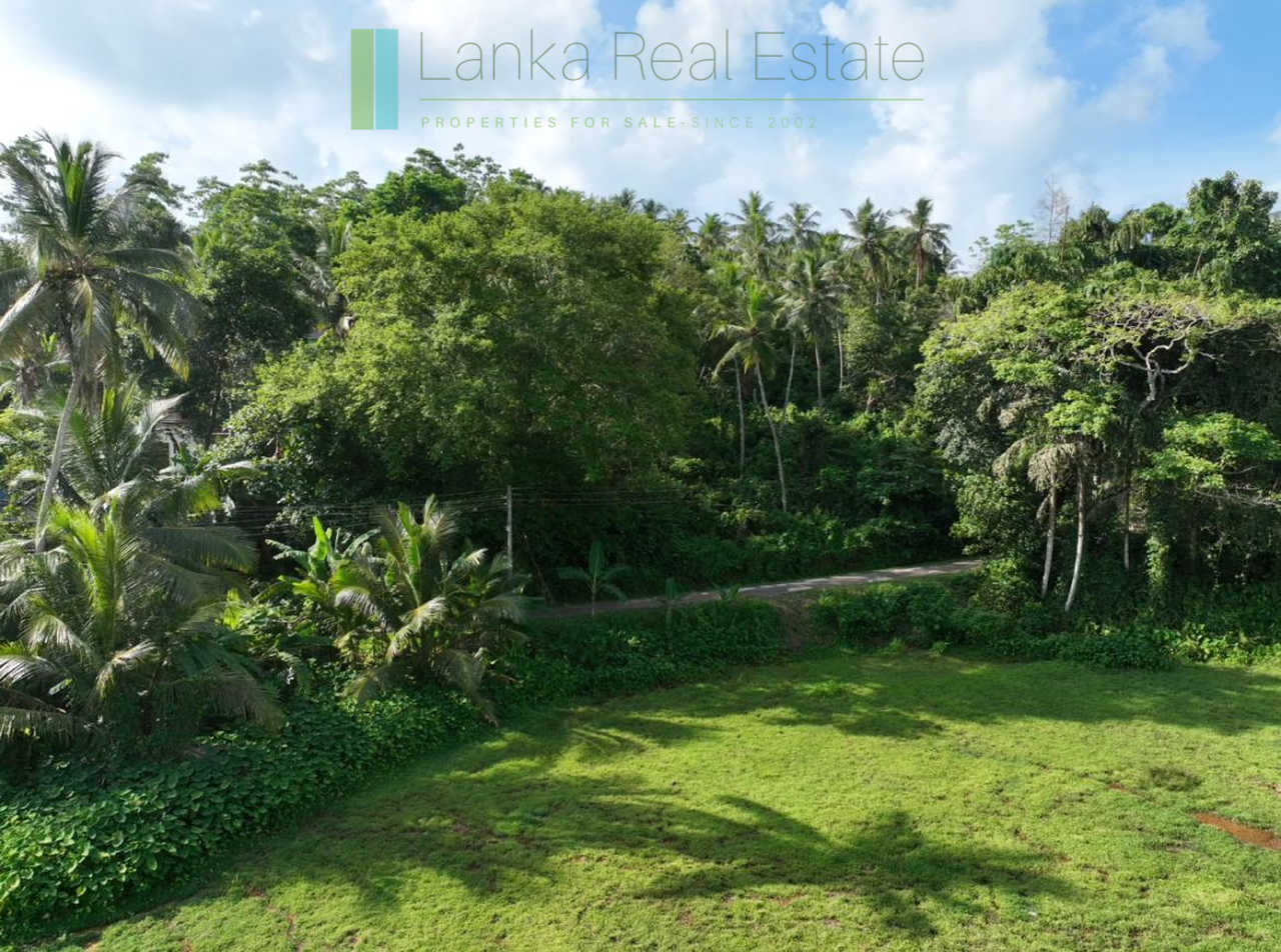 Hill plot close to Talpe and Galle with ocean and paddy field views