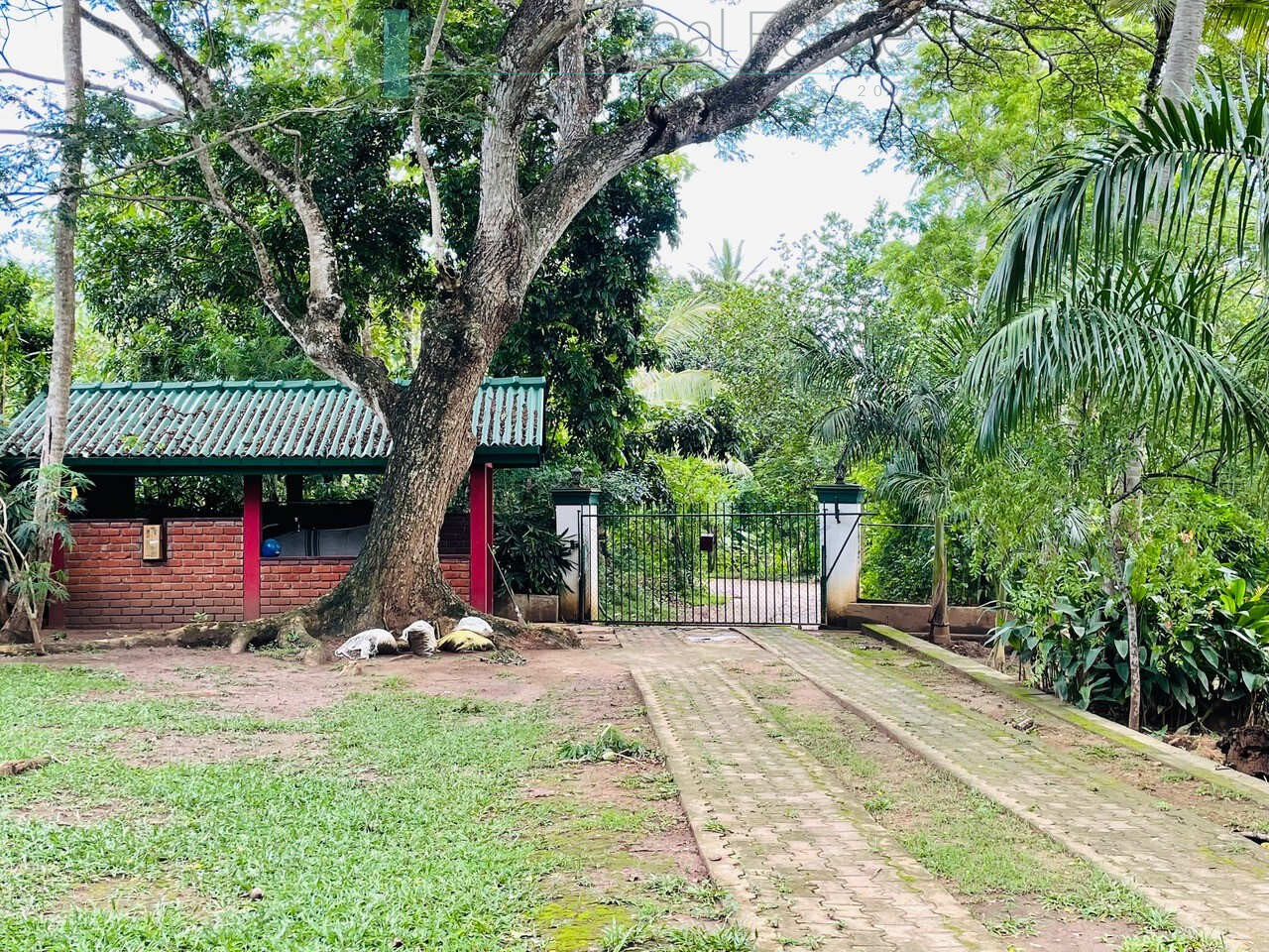 Lodge and cabana on two acres near Tangalle