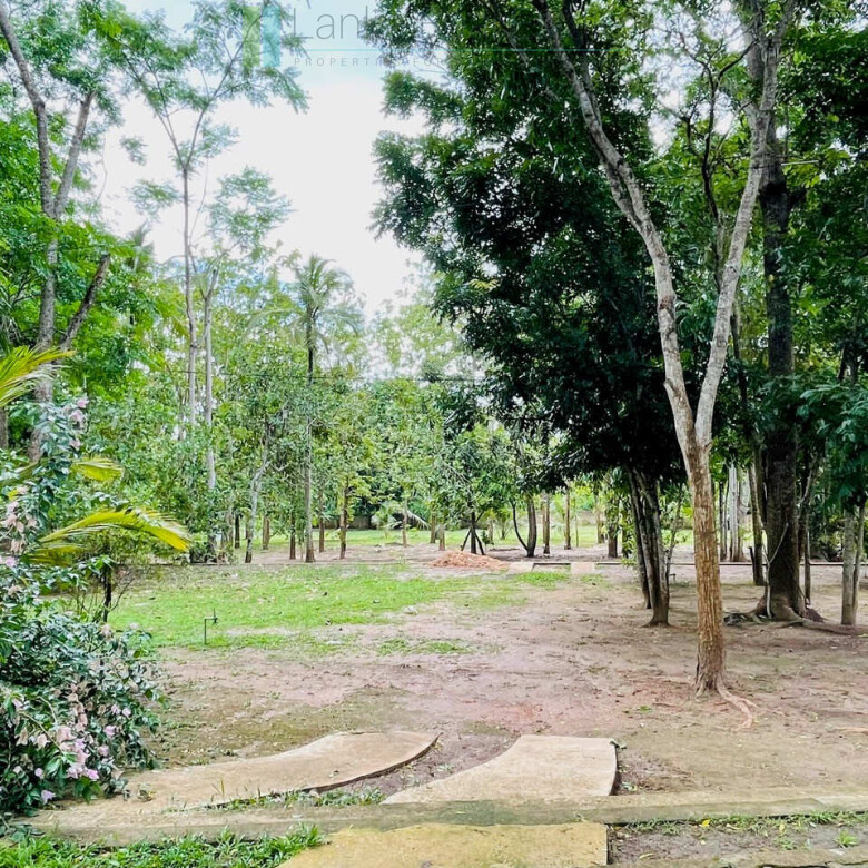 Lodge and cabana on two acres near Tangalle