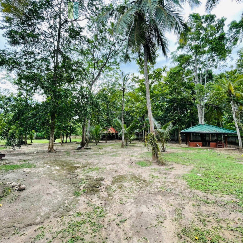 Lodge and cabana on two acres near Tangalle