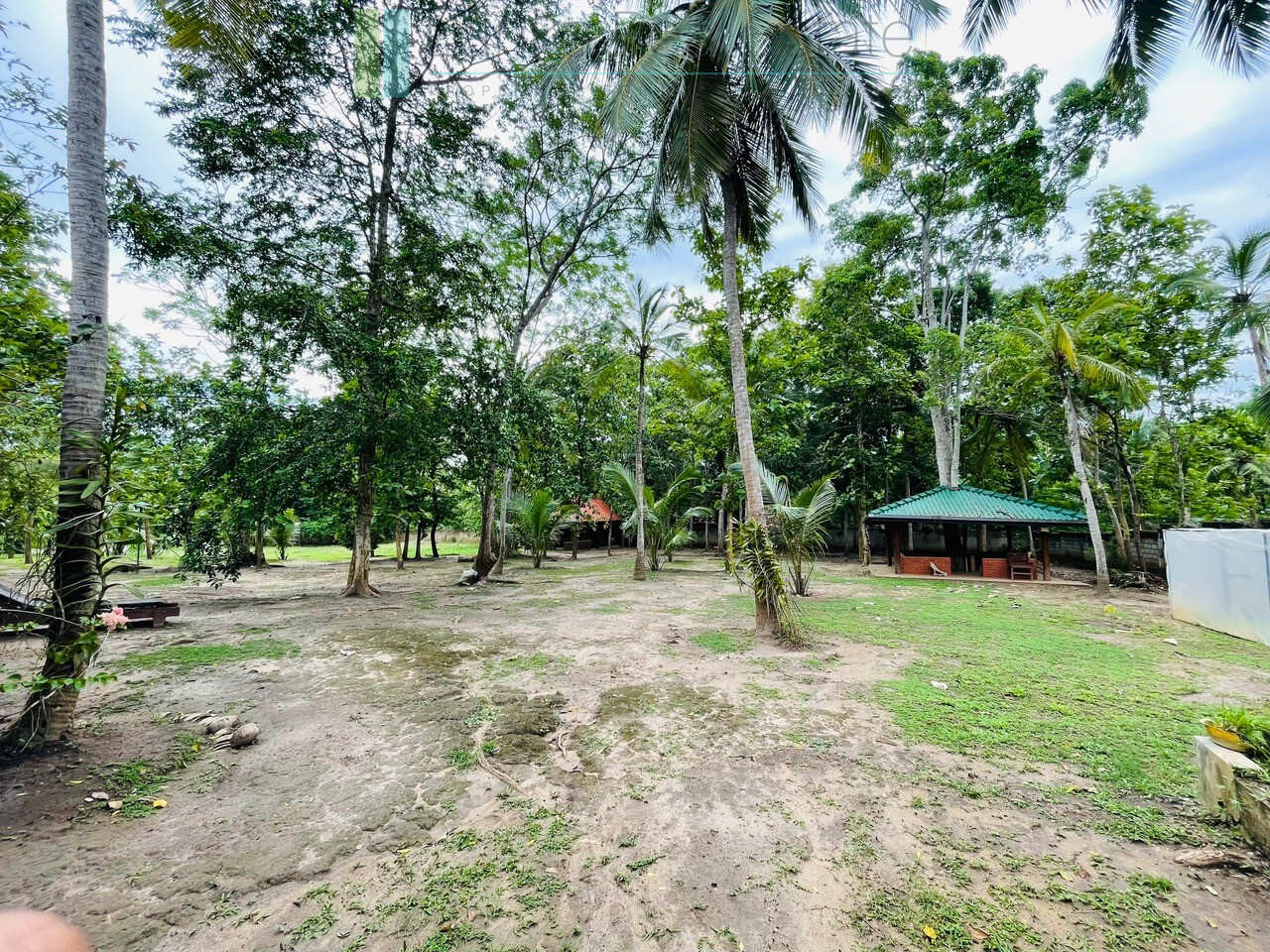 Lodge and cabana on two acres near Tangalle