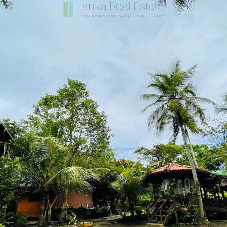 Lodge and cabana on two acres near Tangalle