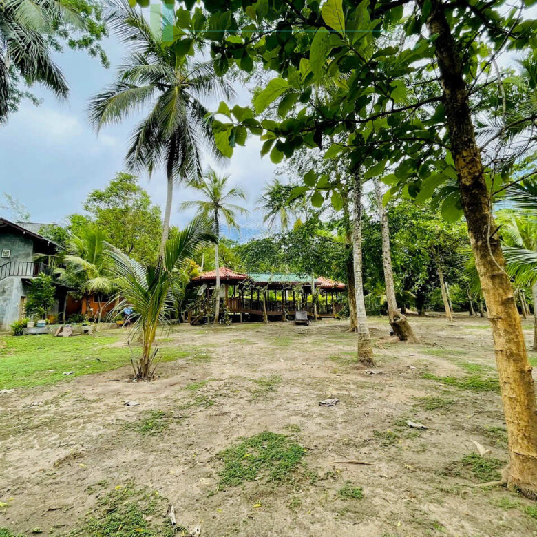 Lodge and cabana on two acres near Tangalle