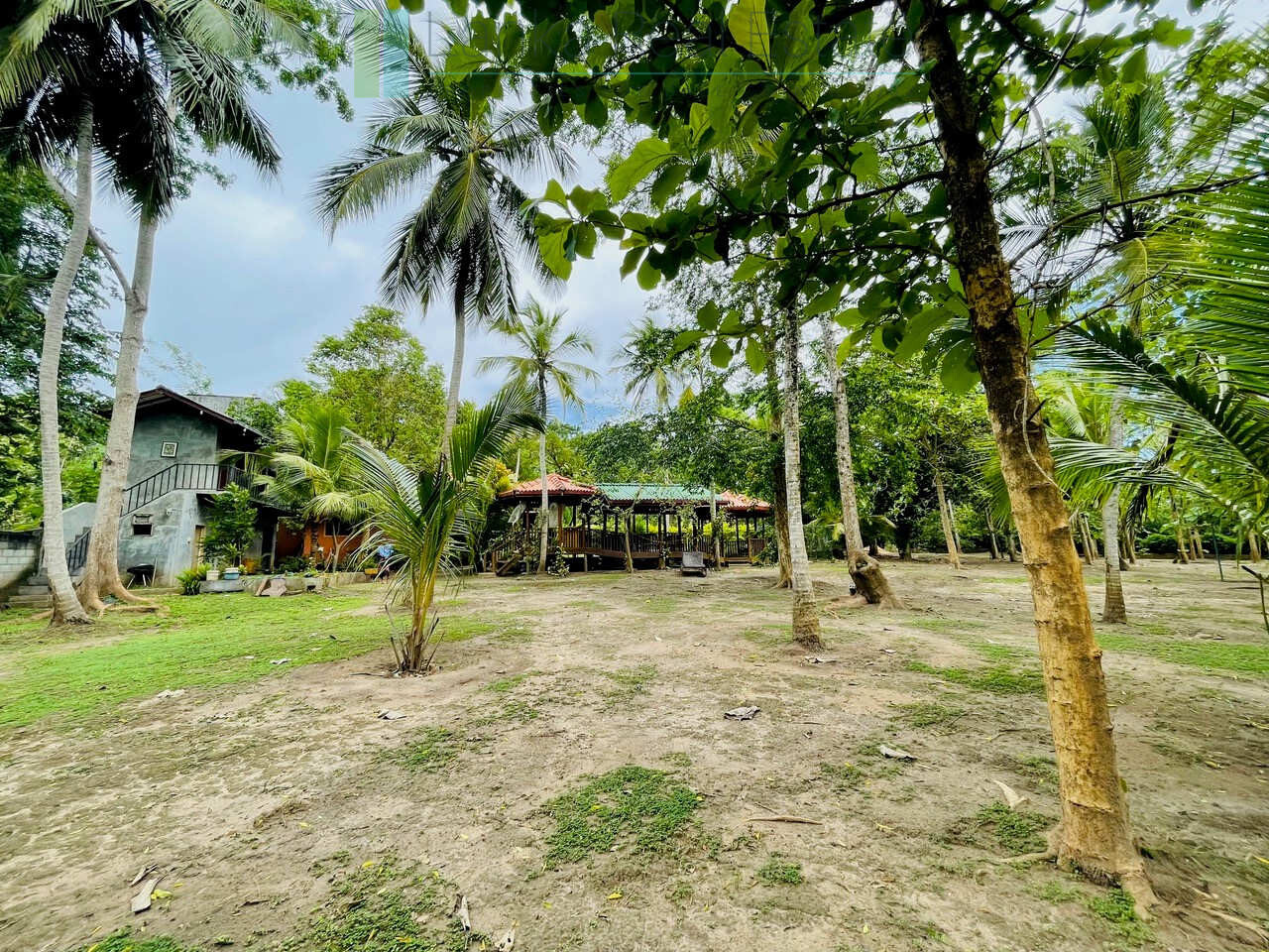Lodge and cabana on two acres near Tangalle