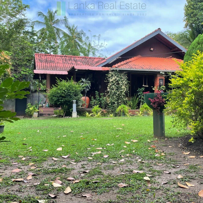 Lodge and cabana on two acres near Tangalle