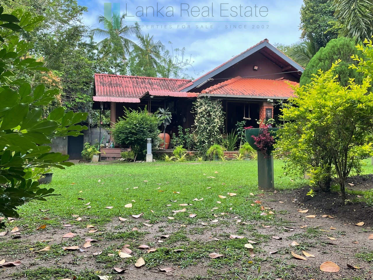 Lodge and cabana on two acres near Tangalle