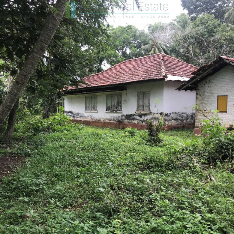 Paddy view project near Talalla Beach