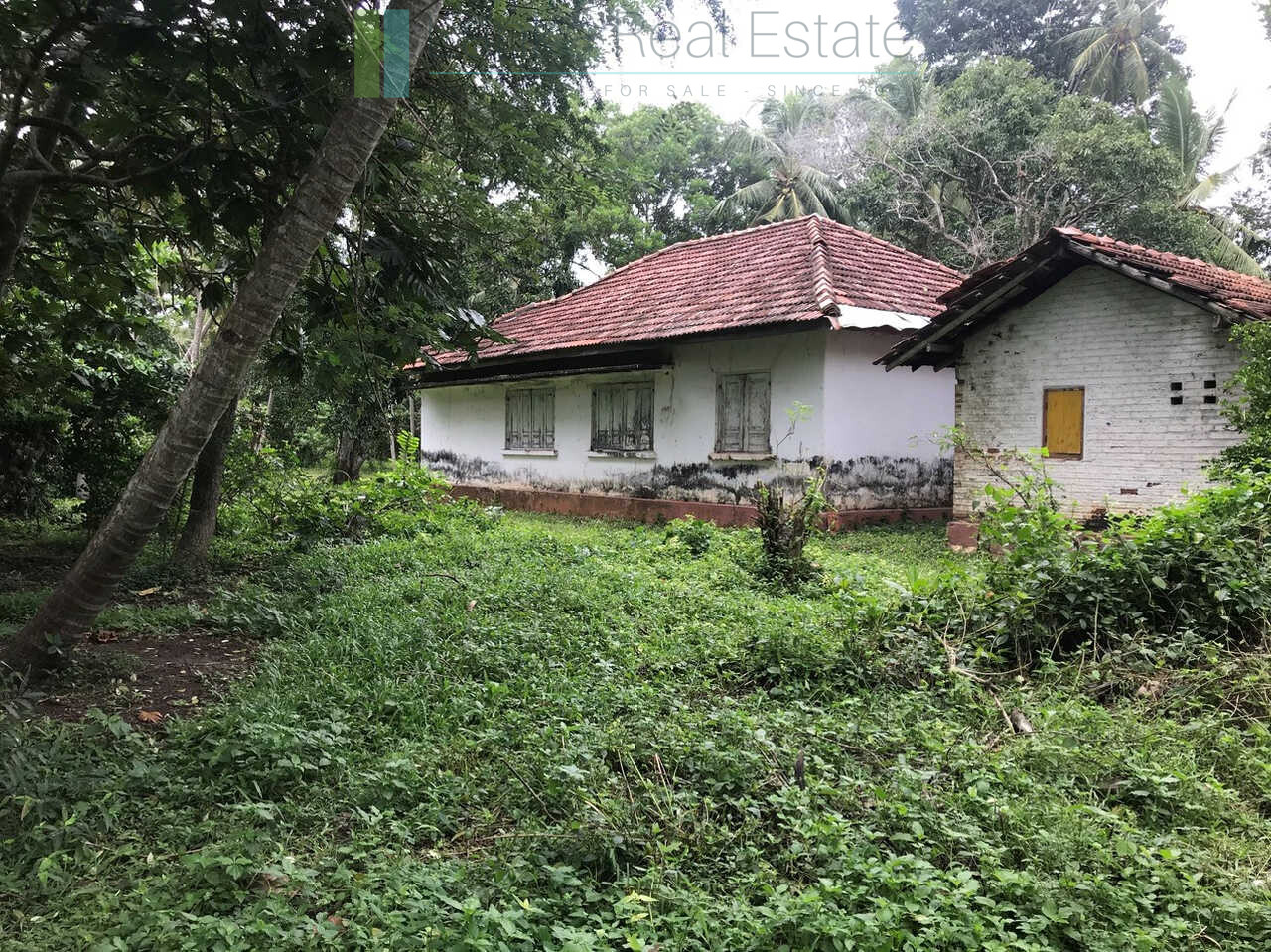 Paddy view project near Talalla Beach