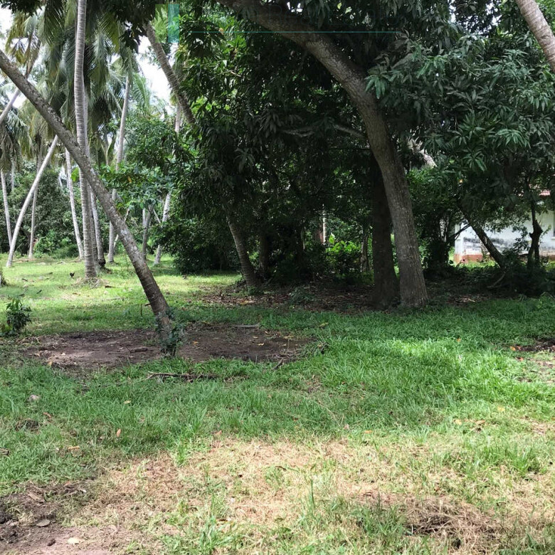 Paddy view project near Talalla Beach