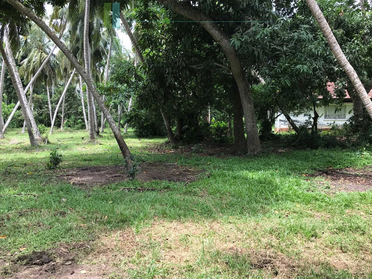 Paddy view project near Talalla Beach