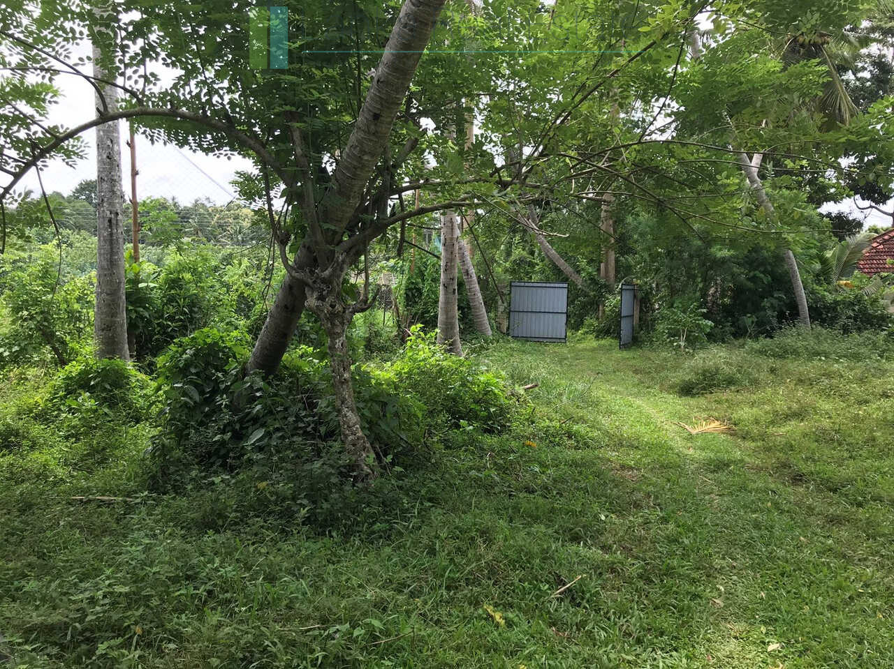 Paddy view project near Talalla Beach
