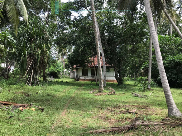Paddy view project near Talalla Beach
