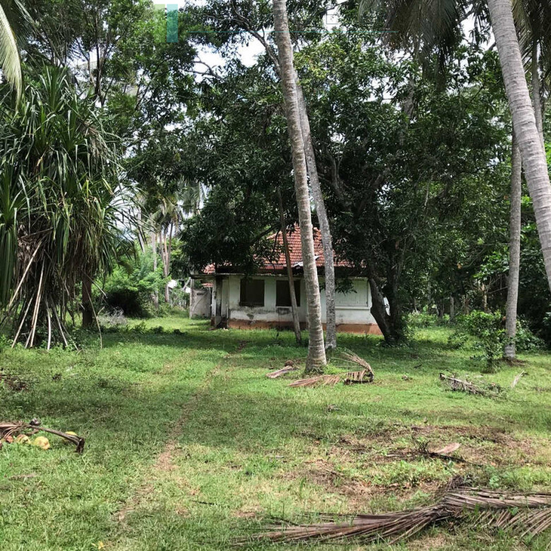 Paddy view project near Talalla Beach