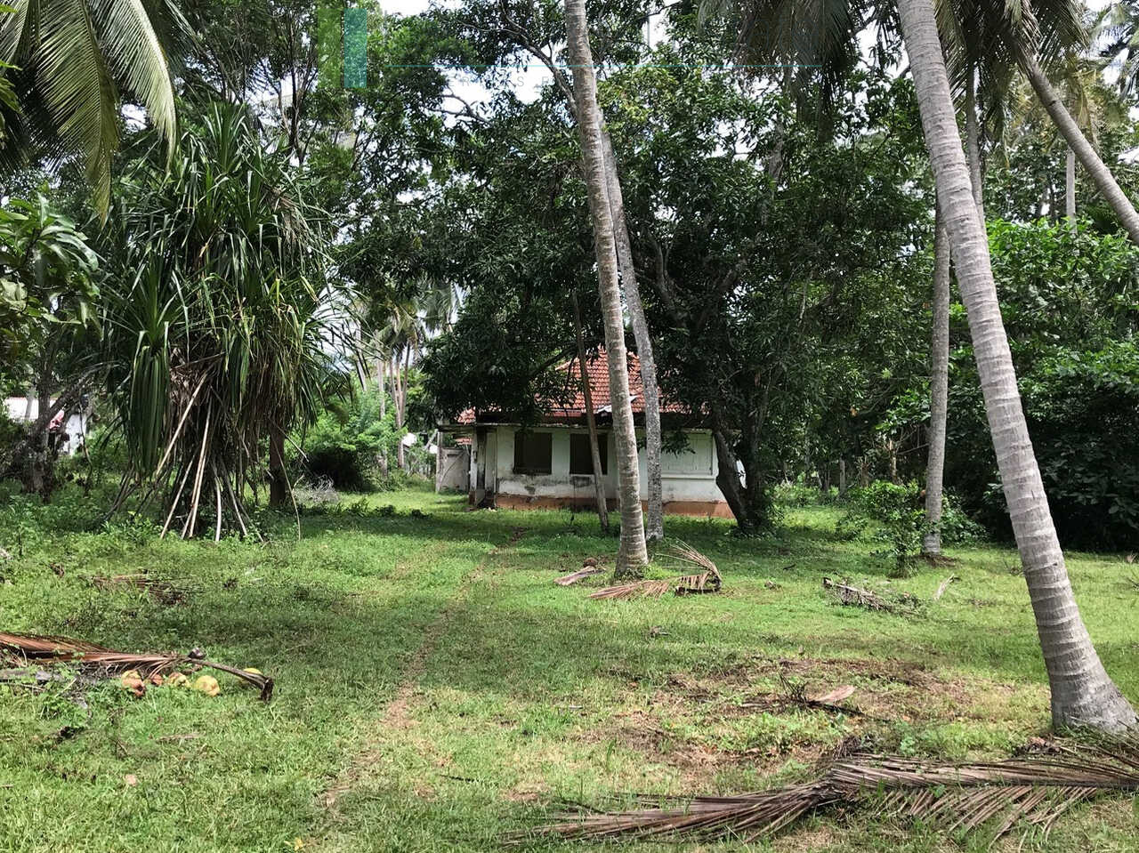 Paddy view project near Talalla Beach