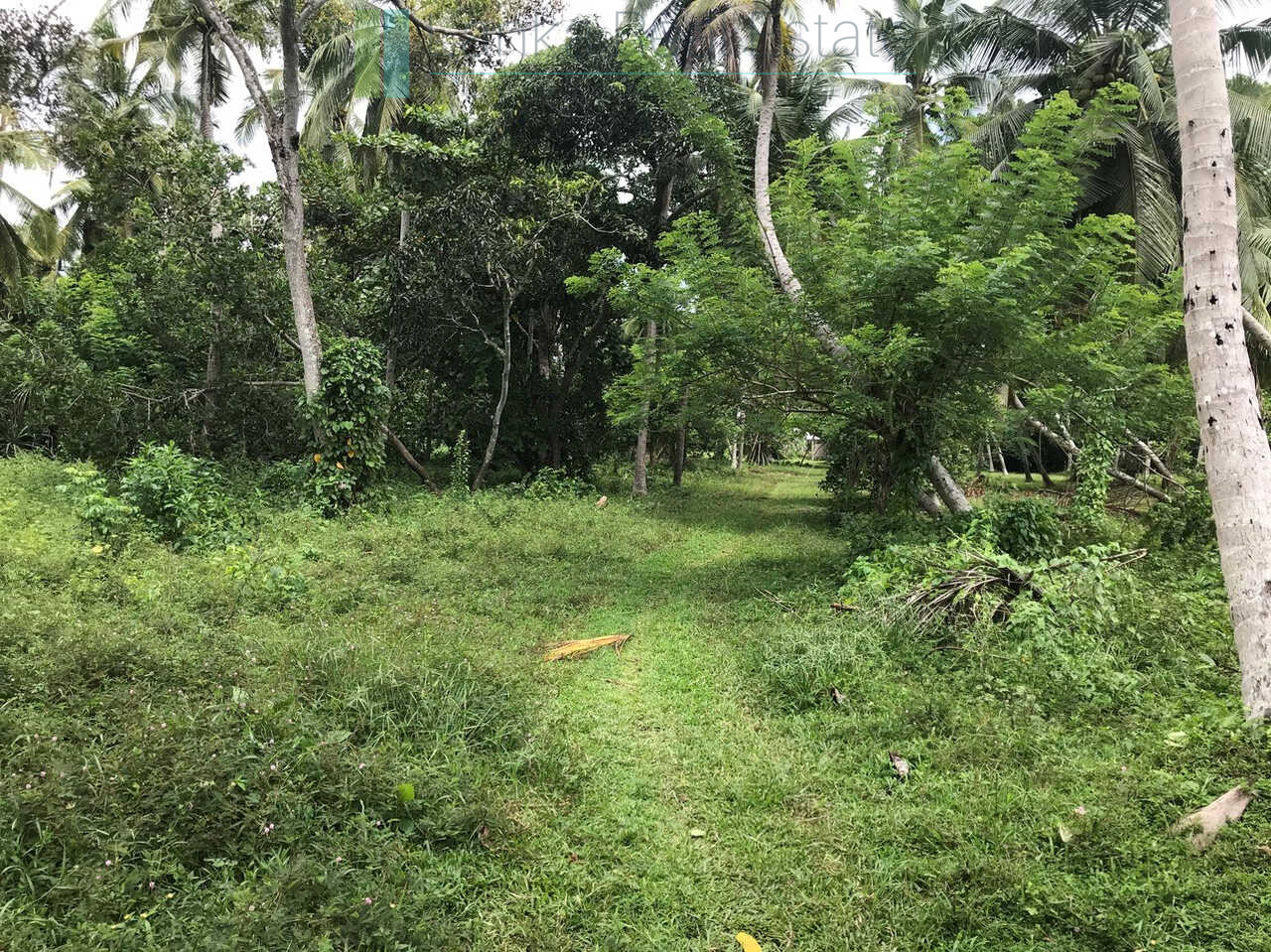 Paddy view project near Talalla Beach