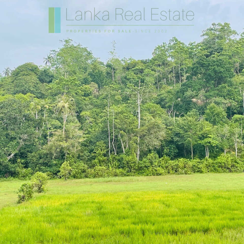 Ten acres with ocean views near Talpe beach