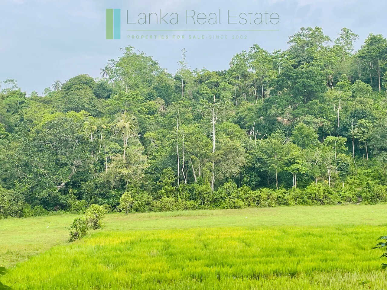 Ten acres with ocean views near Talpe beach