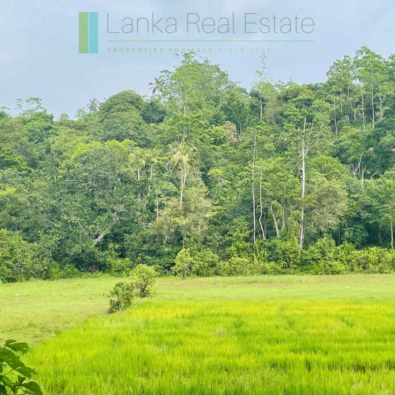 Ten acres with ocean views near Talpe beach
