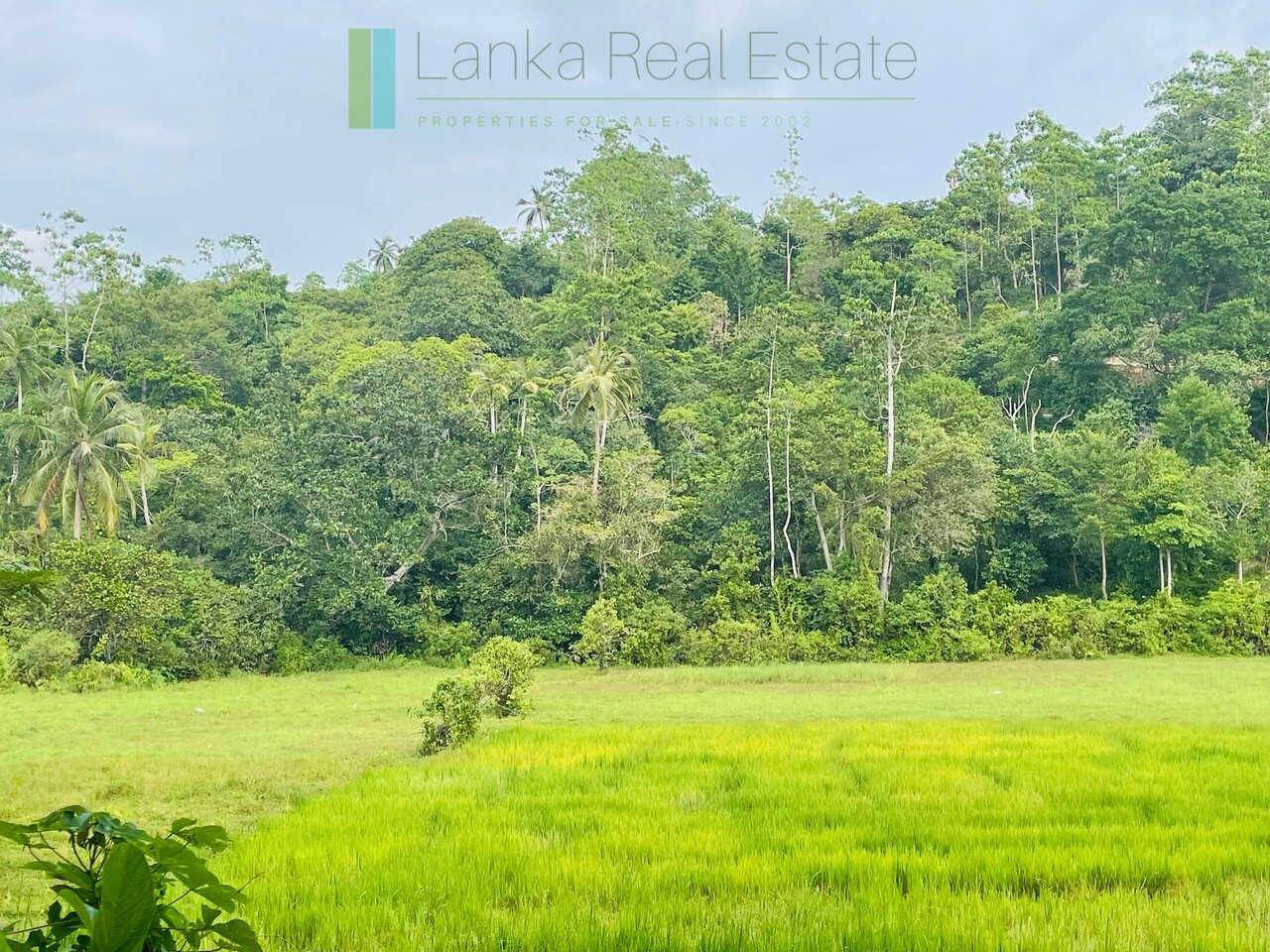 Ten acres with ocean views near Talpe beach