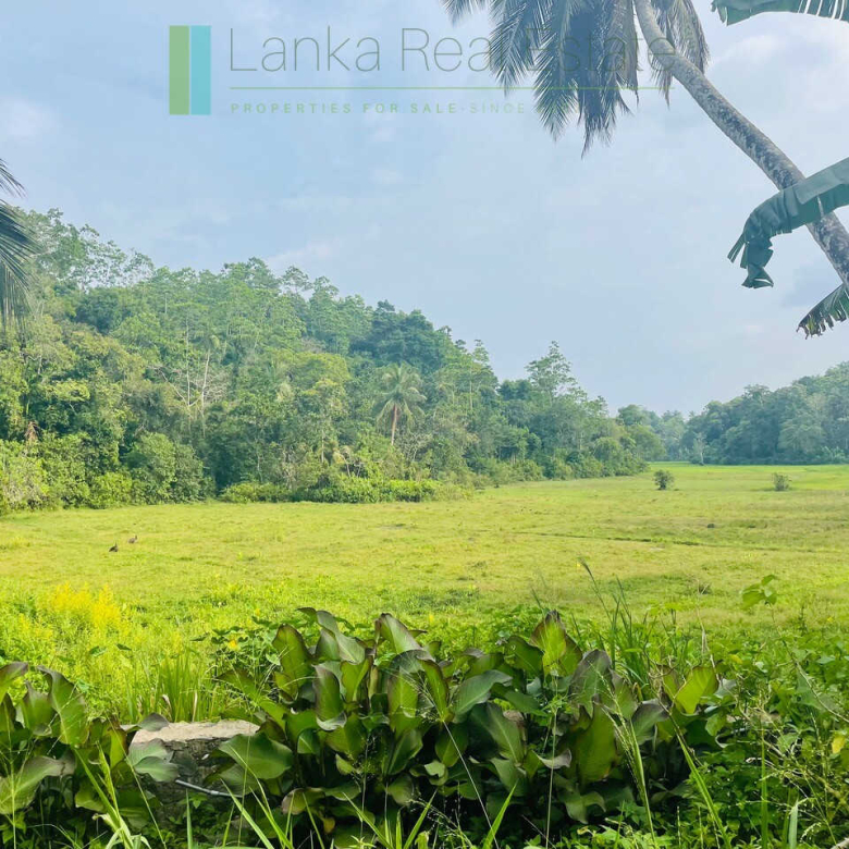 Ten acres with ocean views near Talpe beach