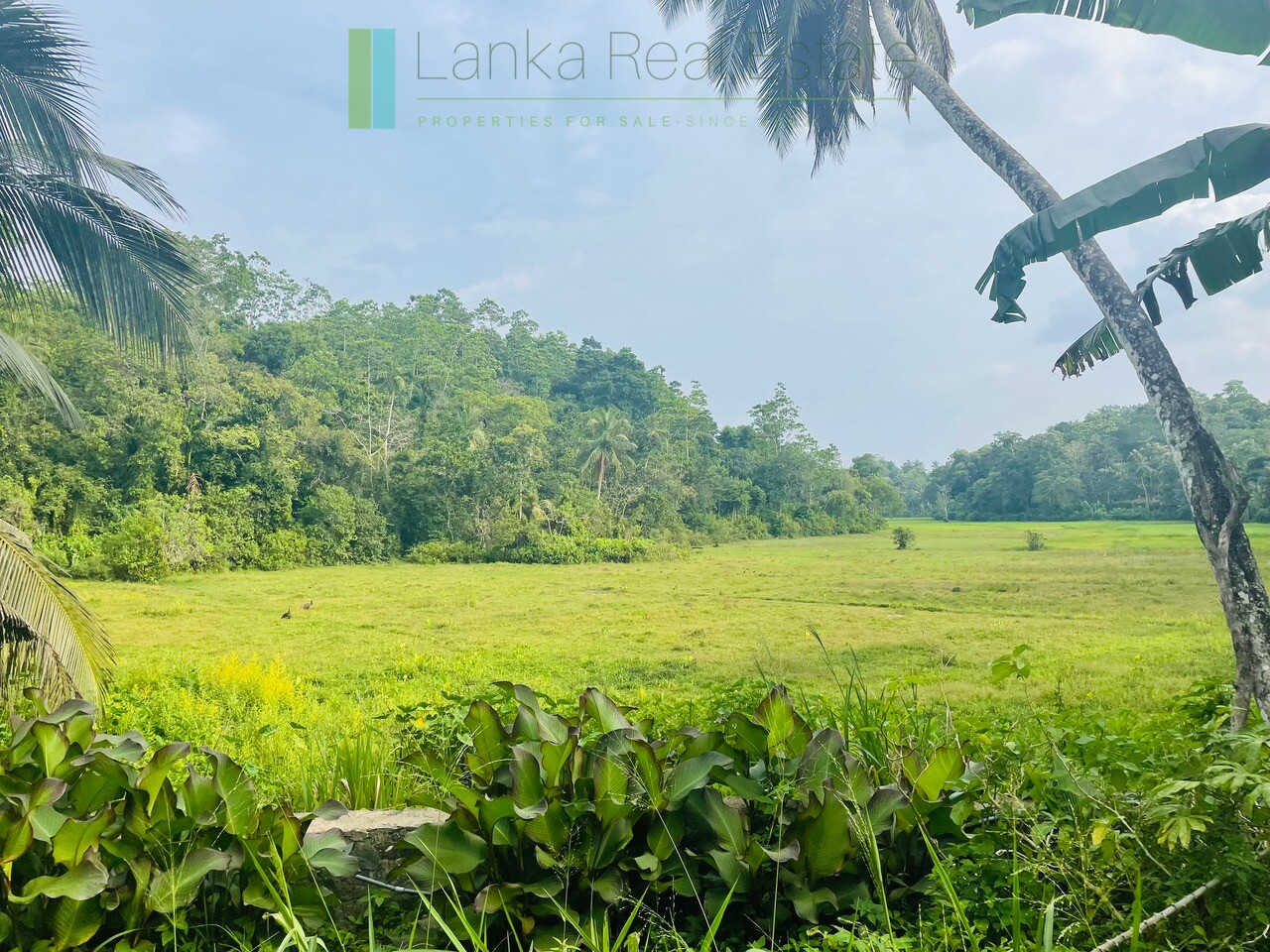 Ten acres with ocean views near Talpe beach