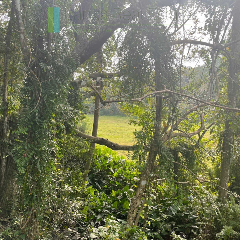 Ten acres with ocean views near Talpe beach
